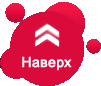 Наверх